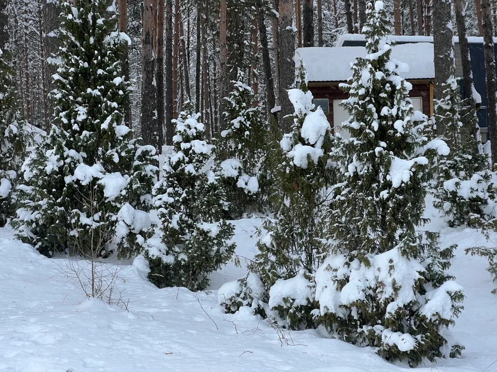 Дом 6 в лесу у реки