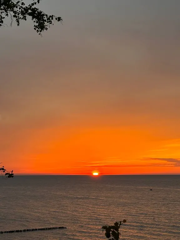 Новые апартаменты с большой террасой