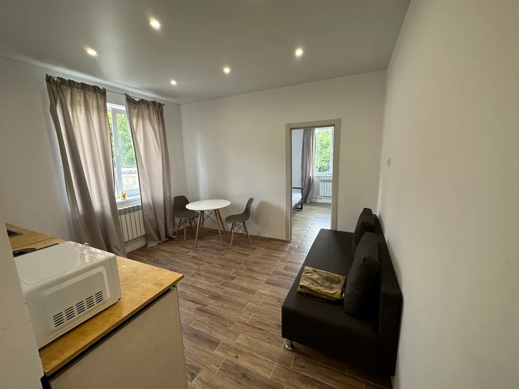 Уютный апартамент Столица