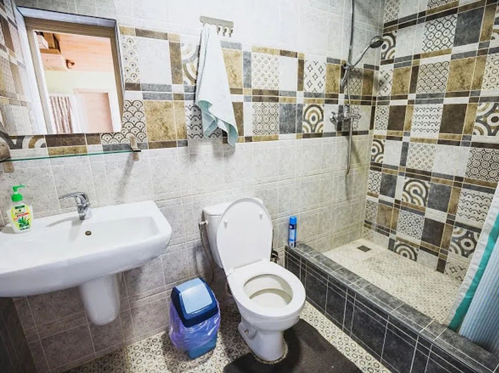 Шале под Минском