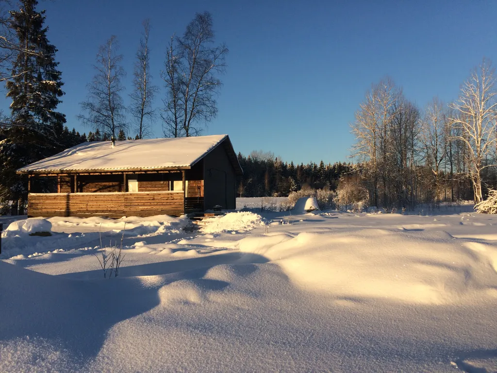 Загородный дом в лесу вблизи залива