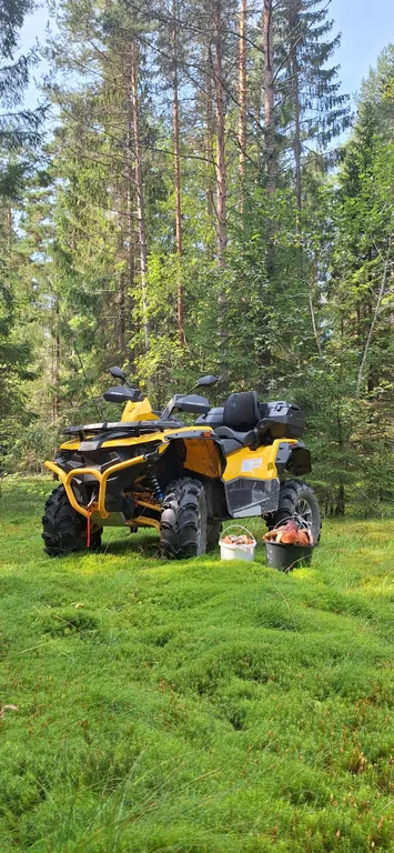 Уютный коттедж на берегу великолепного озера Ханкасъярви