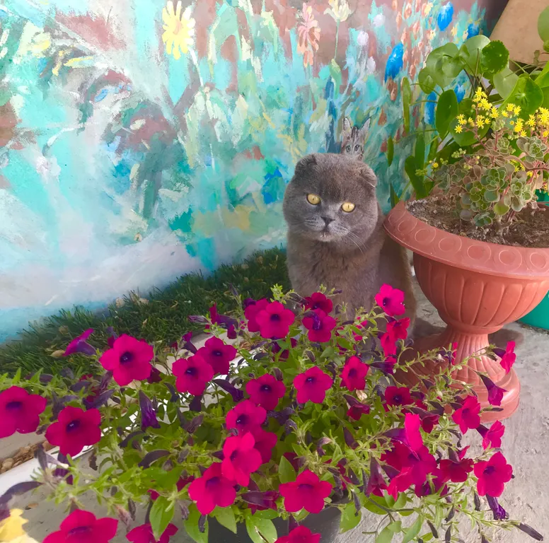 Родное гнездо