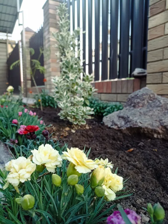 Трёхместный комфорт с кинг-кроватью