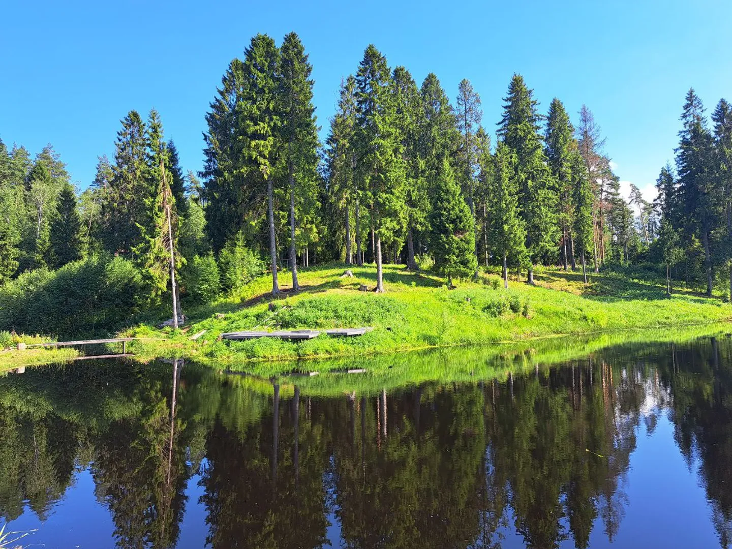 Водоём на территории 