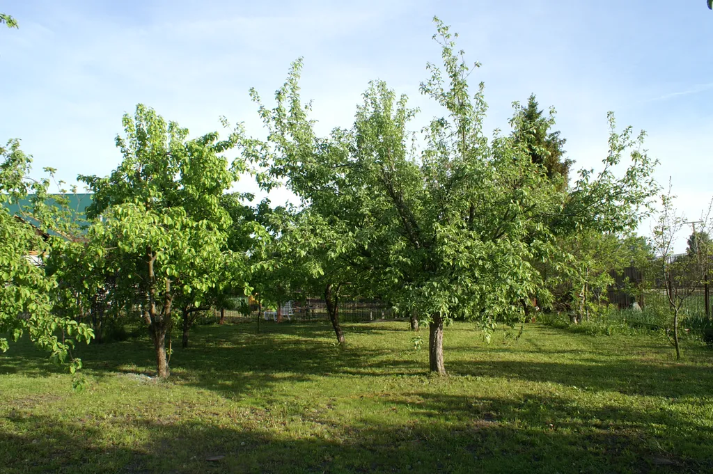 Уютный дом с камином