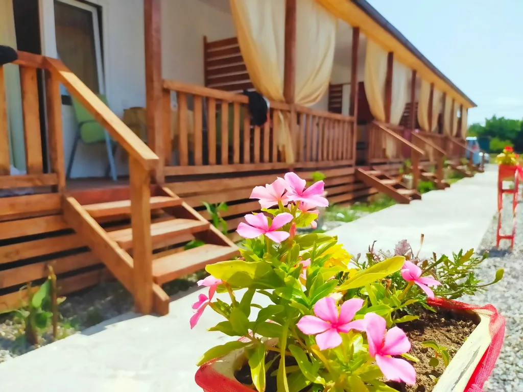 Дикая Гавань