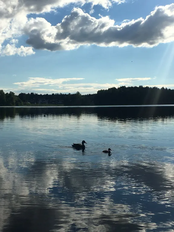 4-комнатный Дом