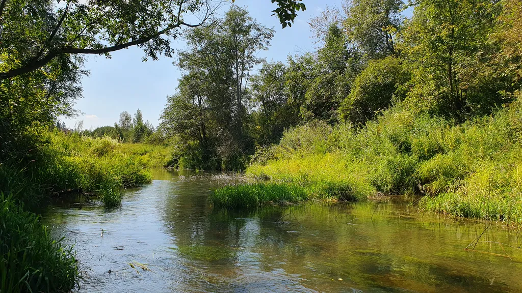 Дом А-фрейм на речке под Клином
