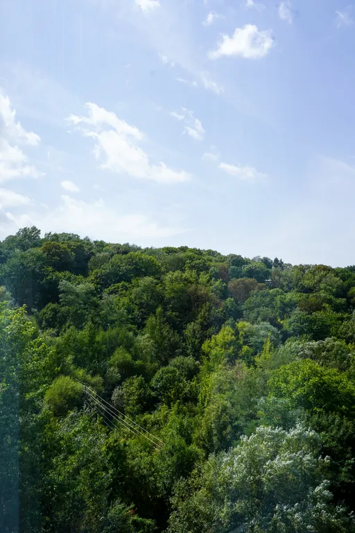 Комфортная квартира в самом центре парка