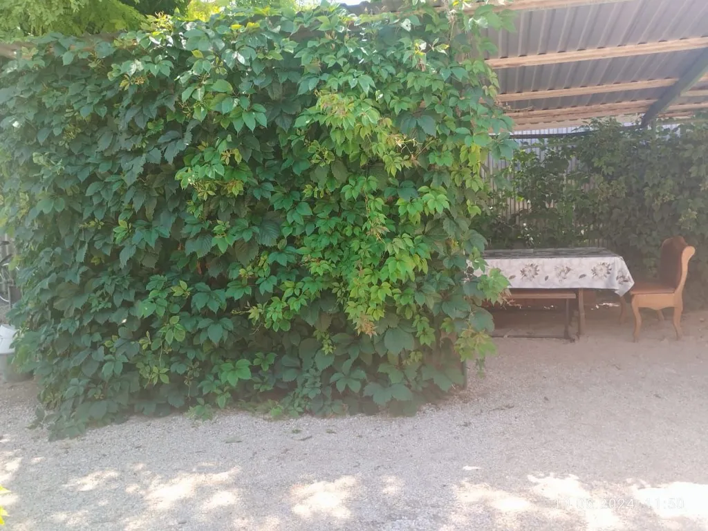 Семейный отдых на азовском море