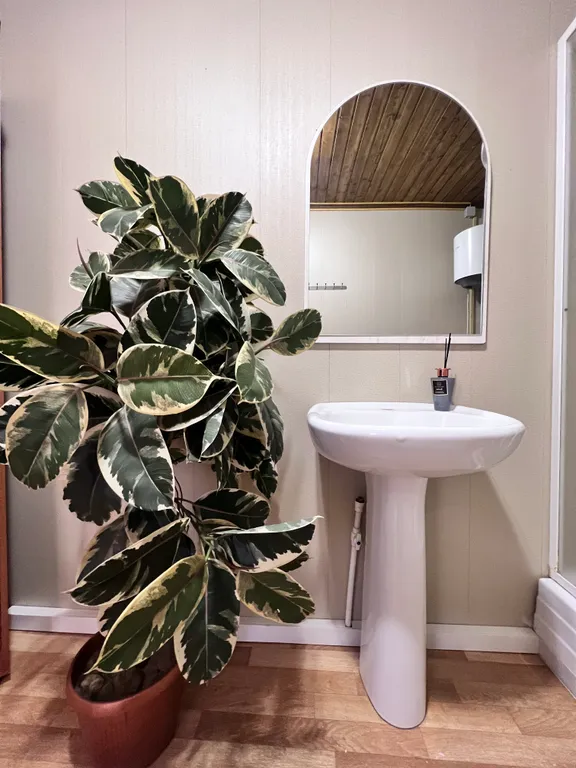 Уютный дом у реки с мангалом