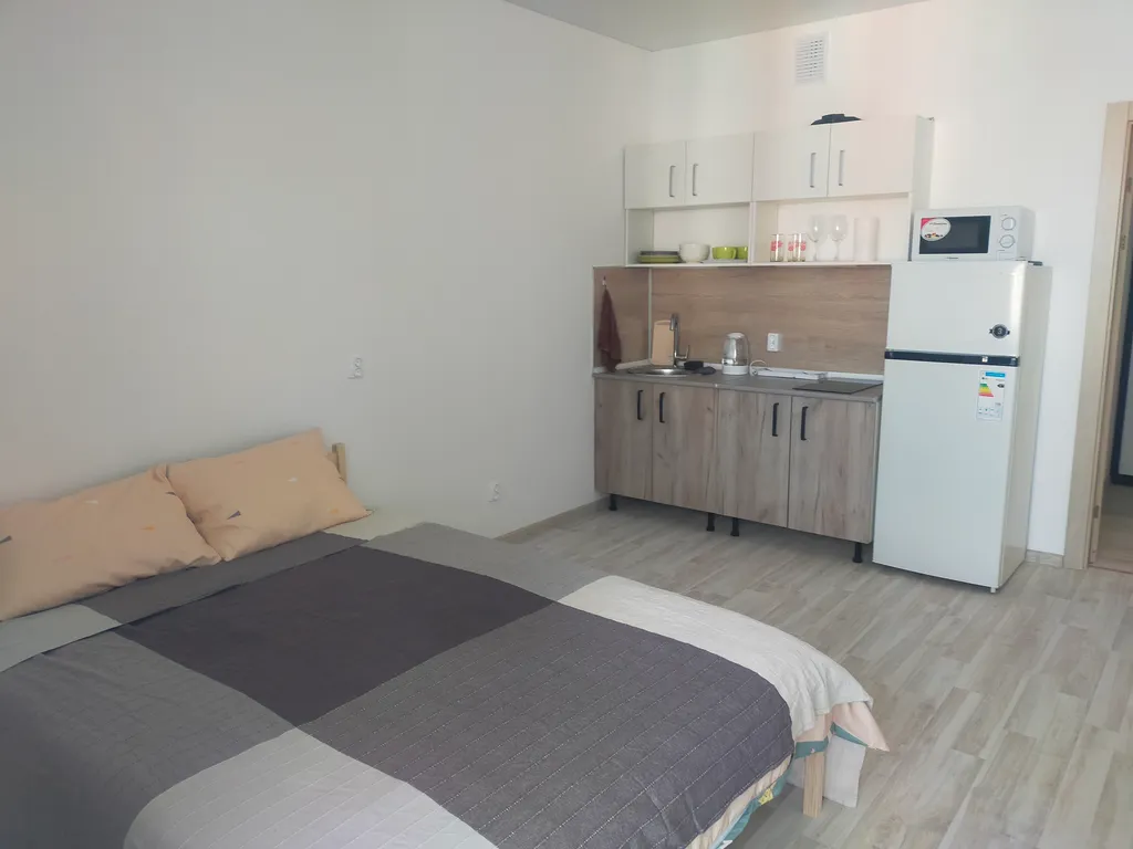 Студия с видом на пруд