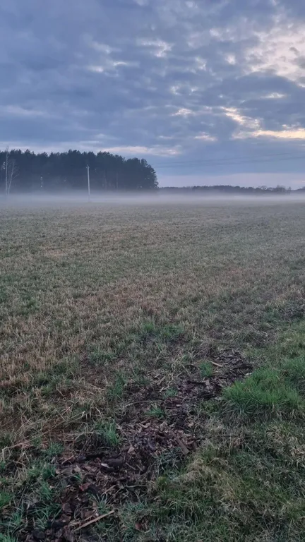 Отдых на территории гпу Беловежская пуща