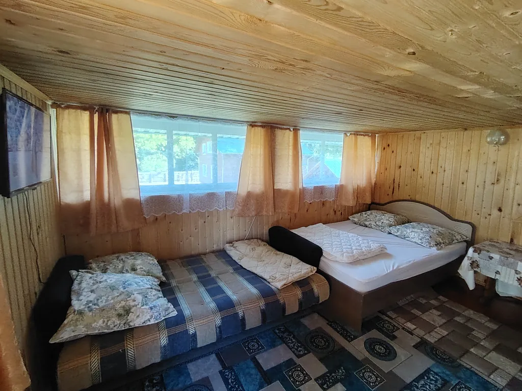 Летний номер с видом на березовый лес