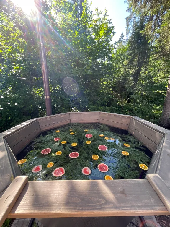 Уютный дом в тишине хвойного леса