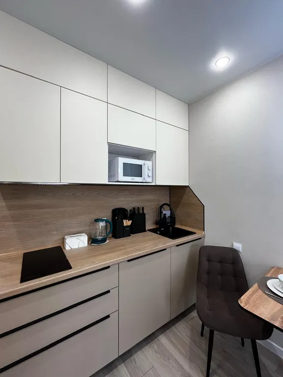 Студия с видом на парк