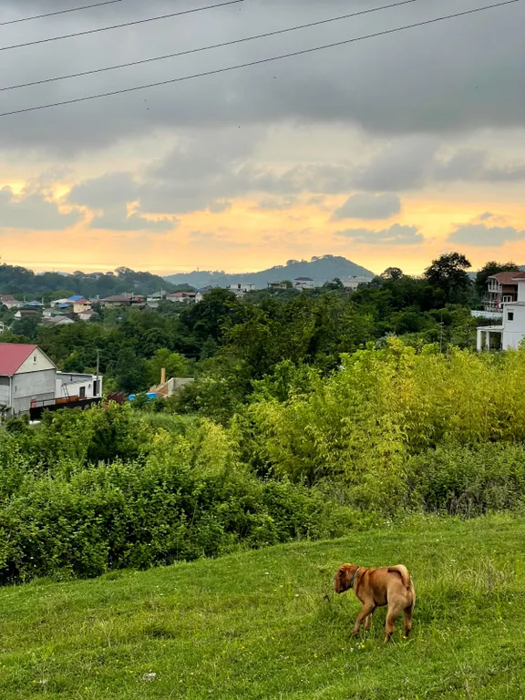 Коттедж Квартира с видом на море и горы — Сочи