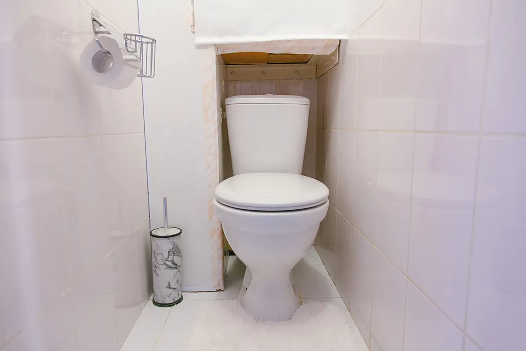 Полярная звезда