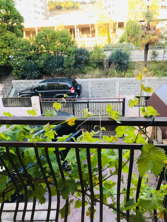 Квартира Комната — Адлер