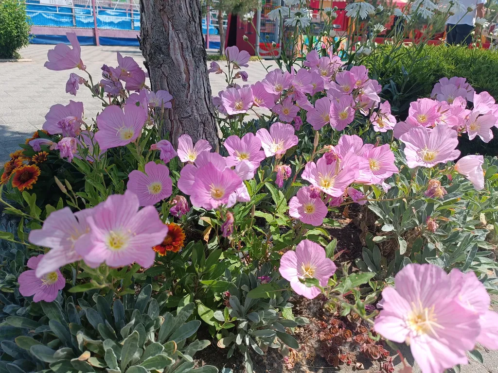 Уютная квартира с интернетом