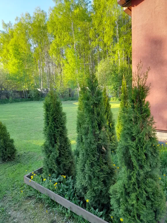 Уютный дом в атмосфере леса 6 км от центра города Иваново