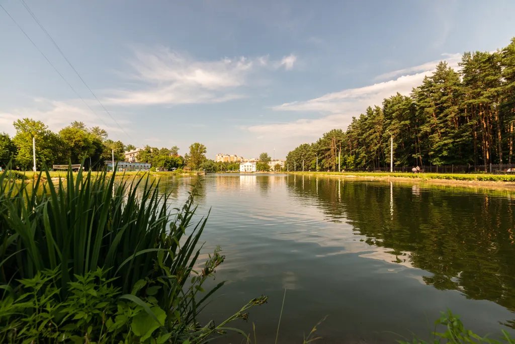 Великолепные апартаменты у озера с видом на лес