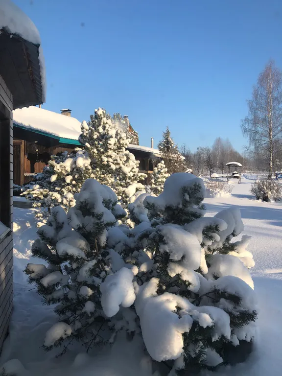 Уютный дом с камином в тихом живописном месте