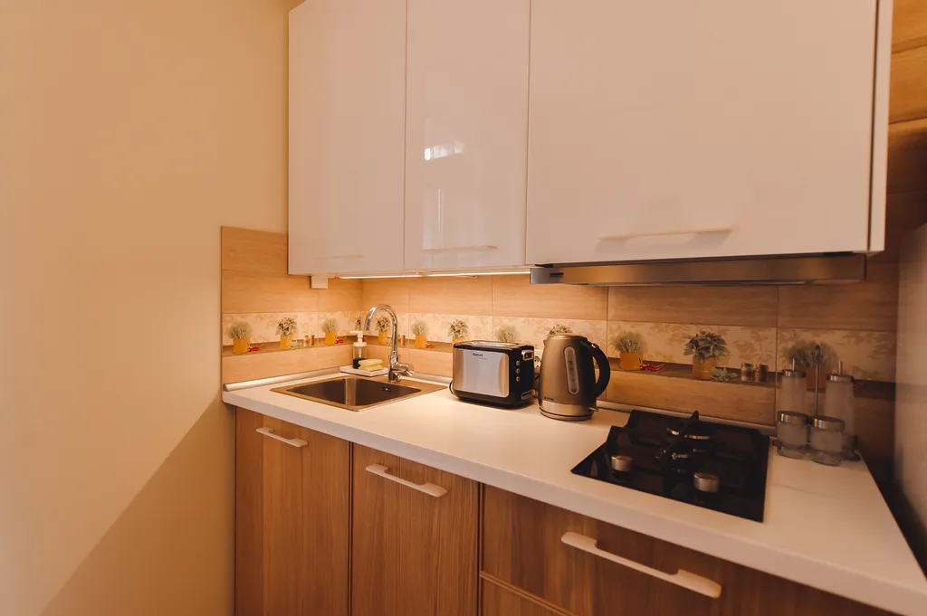 Квартира 1-комнатная Квартира — Сириус