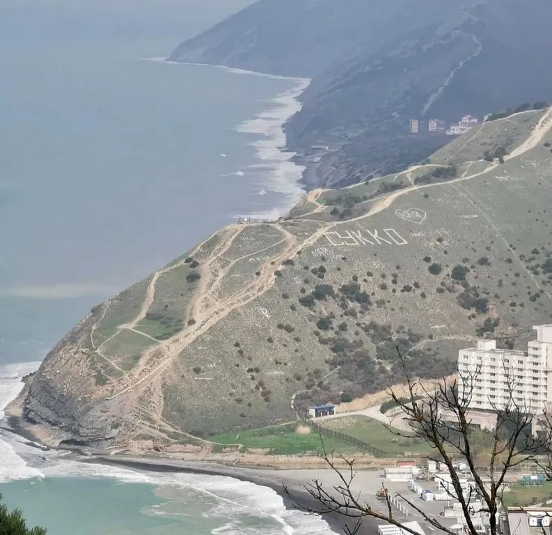 Любимая дача