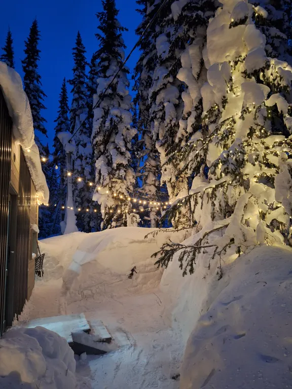 Уютный домик для двоих с террасой в лесу