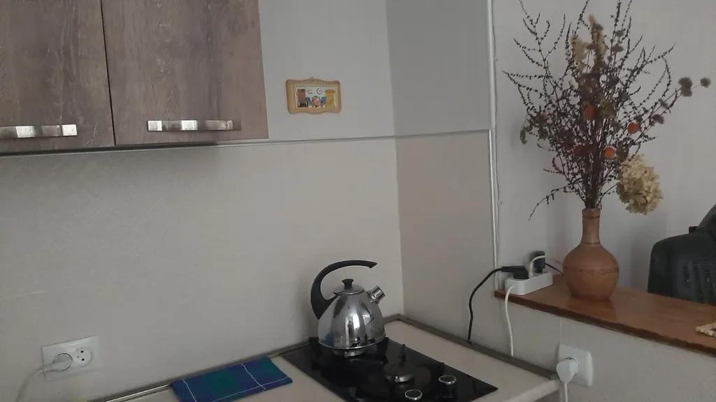 Бесо хаус апартамент с отдельным двориком недалеко от парка