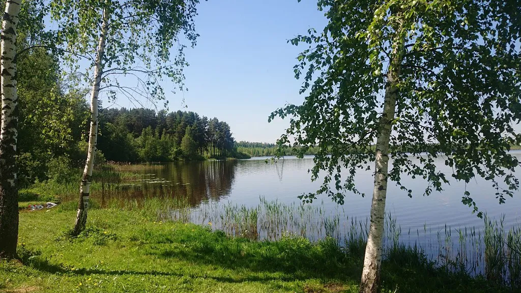 Коттедж Дом в заповедной зоне рядом с озерами — Мышецкое