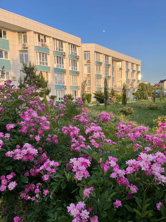 Квартира Апартаменты на первой линии у моря с бассейном Лифт Свежий ремонт — Севастополь