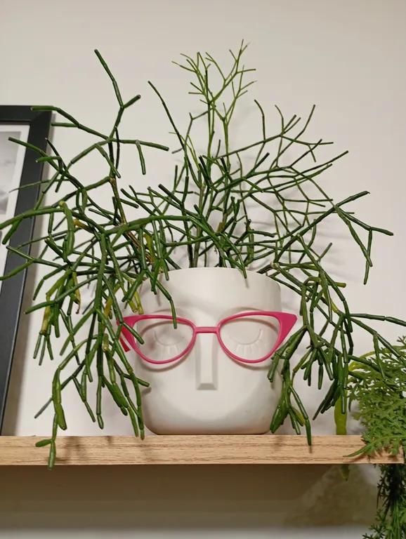 Уютная дизайнерская квартира-студия