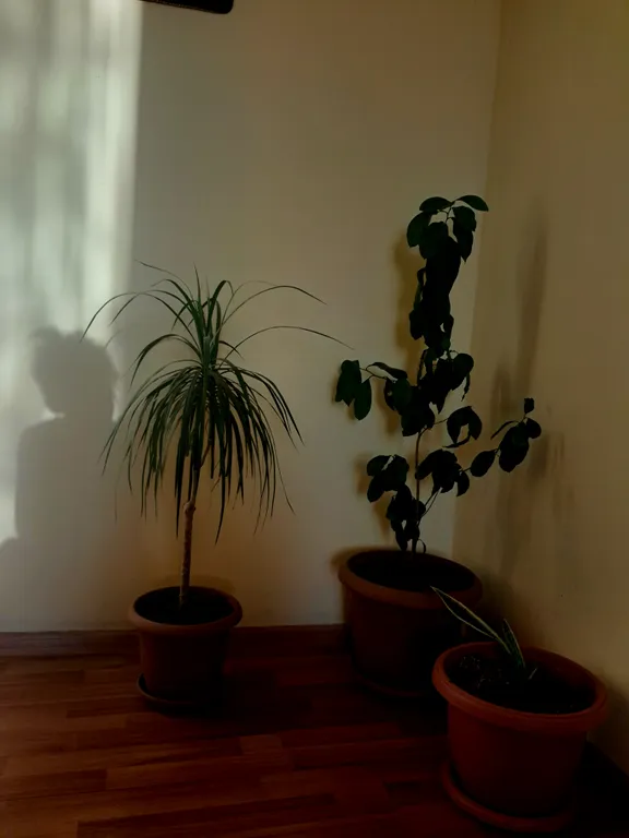 Уютный дом для ярких мгновений