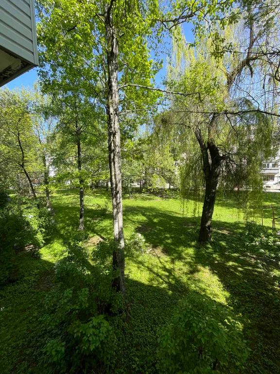 Двухкомнатная квартира у Амфитеатра