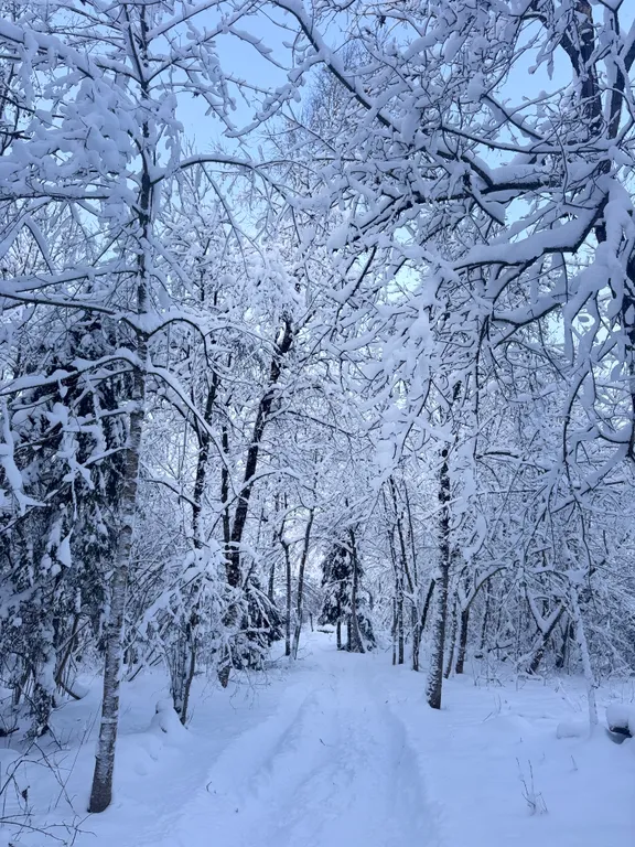 Коттедж Дом у леса — Истра