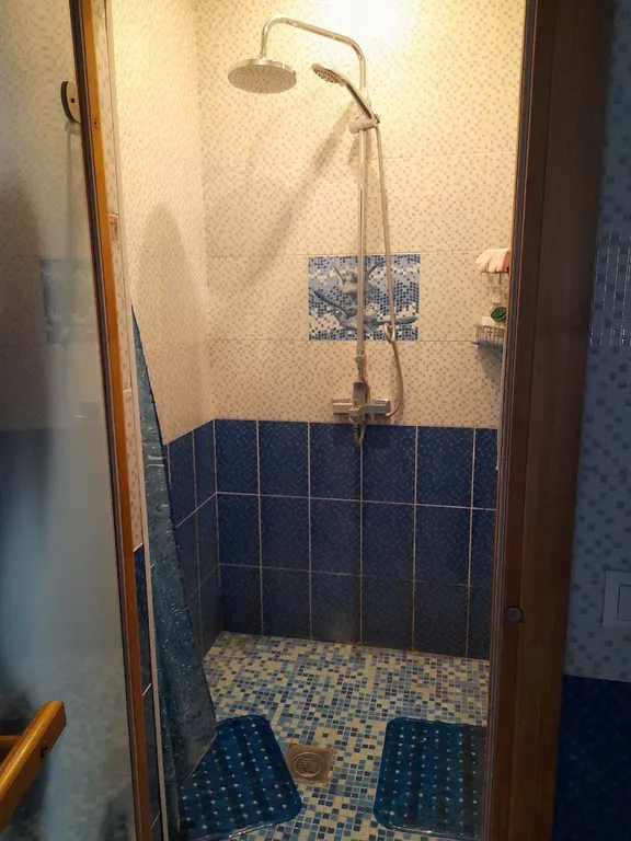 Дом с баней, бассейном и караоке