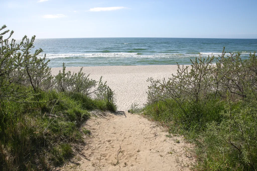 Янтарная Звезда