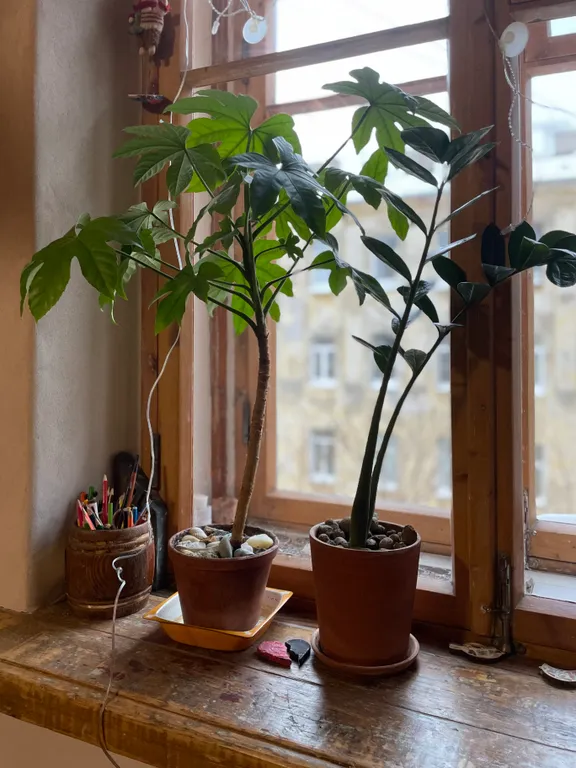 Квартира ручной работы