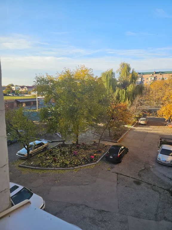 Квартира с видом на парк