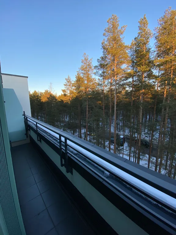 Квартира с террасой у Финского залива