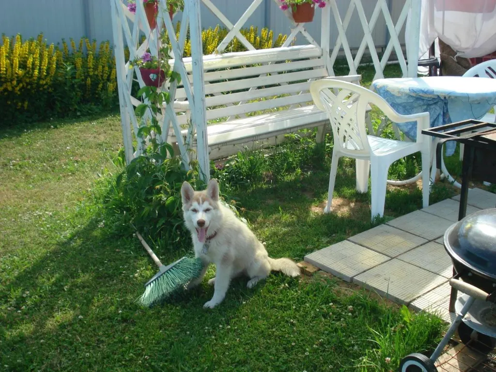 Гостевой дом Сказка