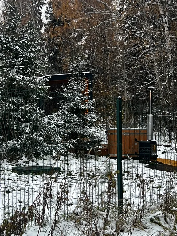 Дом Немо с уличной купелью  в лесу