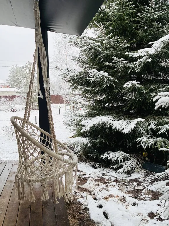 Панорамный дом в лесу