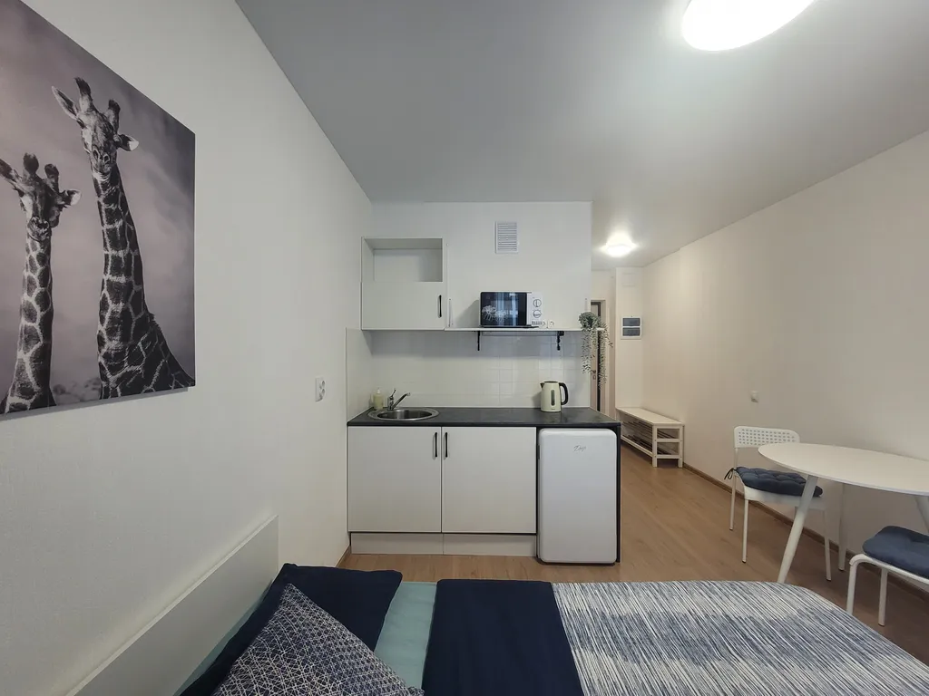 Уютная квартира-студия