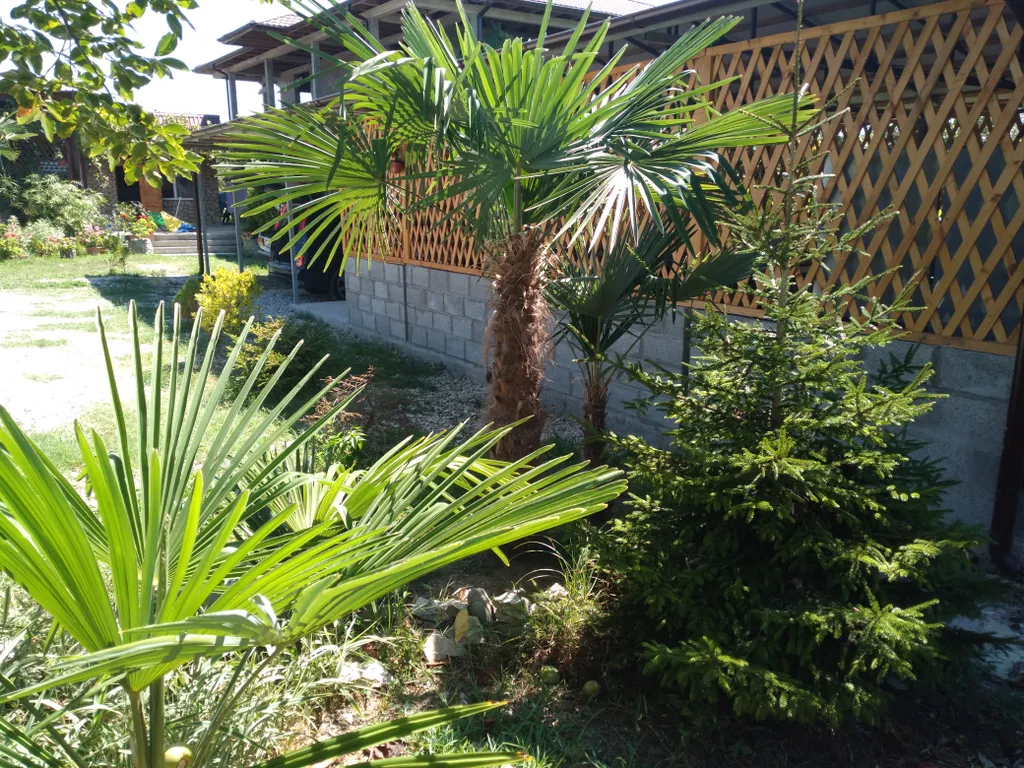 Частный сектор У Юры