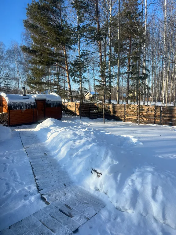 Дом с баней в липах