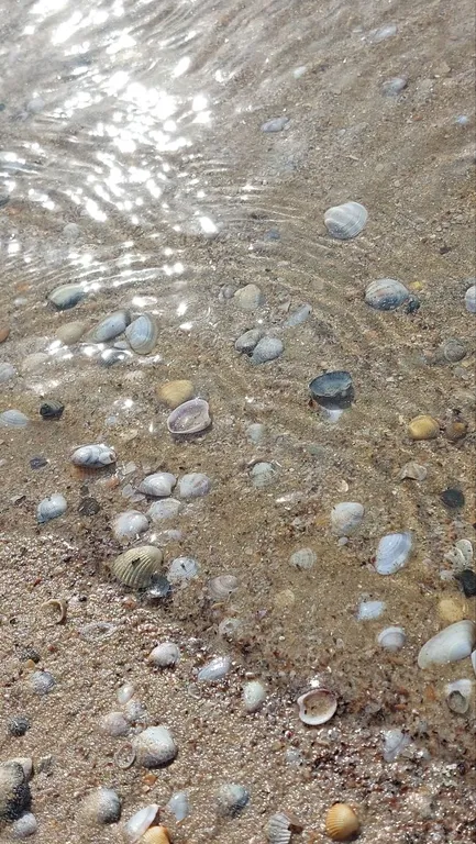 Квартира 1-комнатная Квартира — Анапа